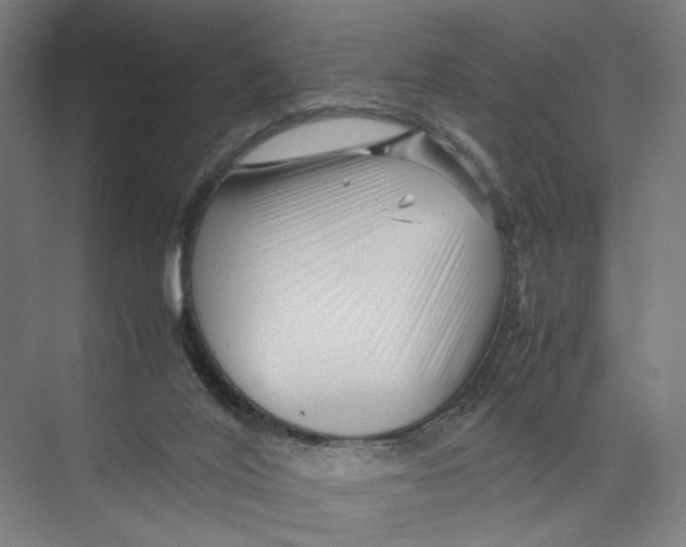 X0000075380020200610061850