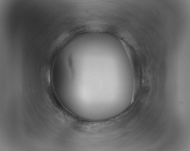 X0000075380021200610061850