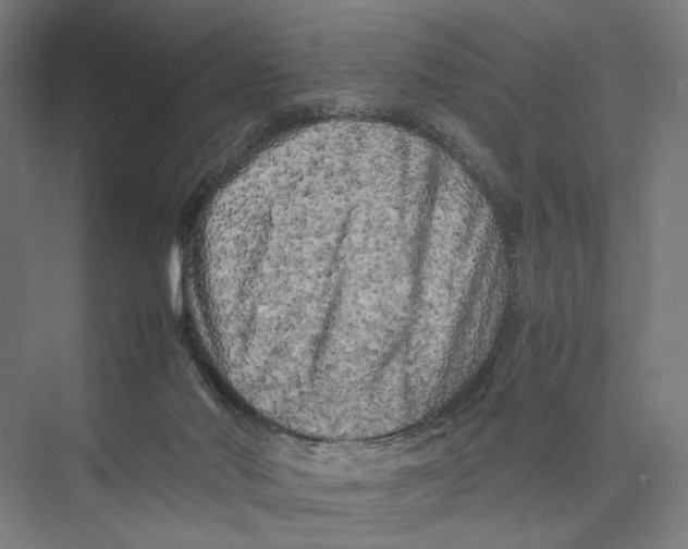 X0000075380022200610061850