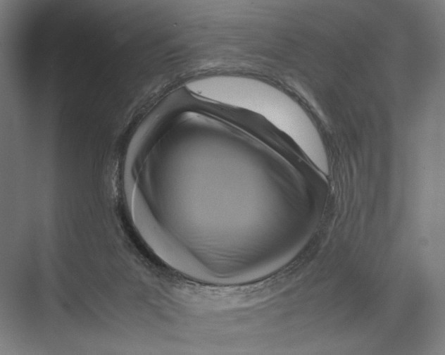 X0000075380023200610061850