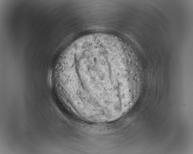 X0000075380024200610061850