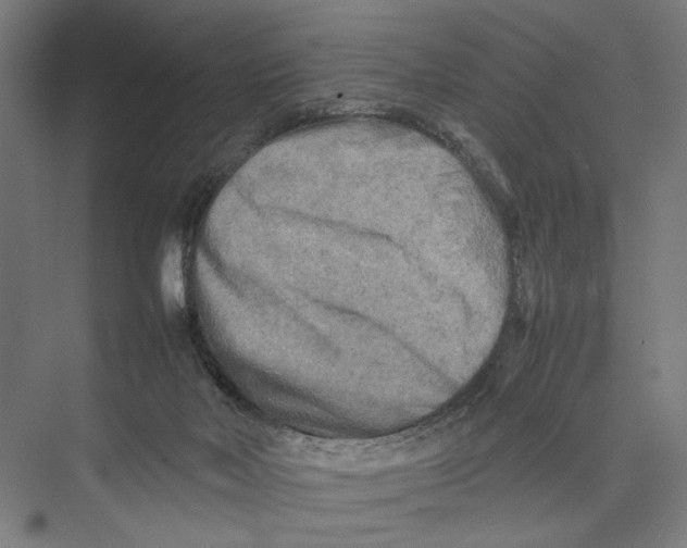 X0000075380026200610061850