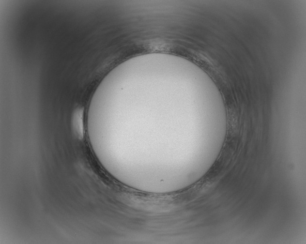 X0000075380028200610061850