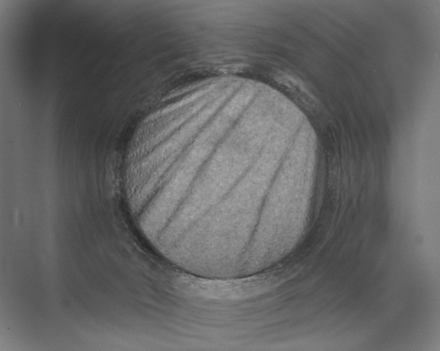 X0000075380030200610061850