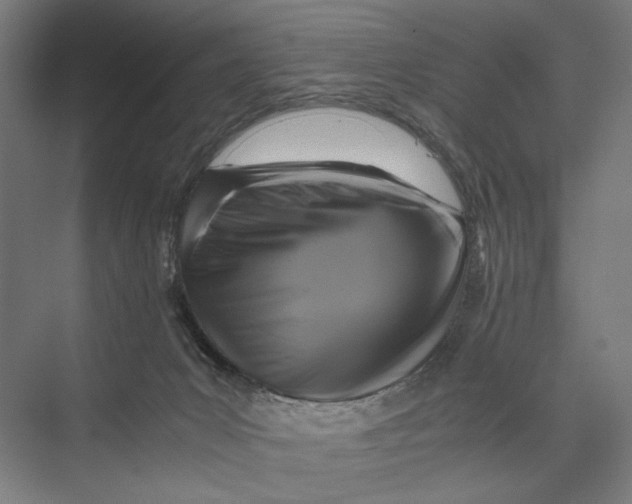 X0000075380031200610061850