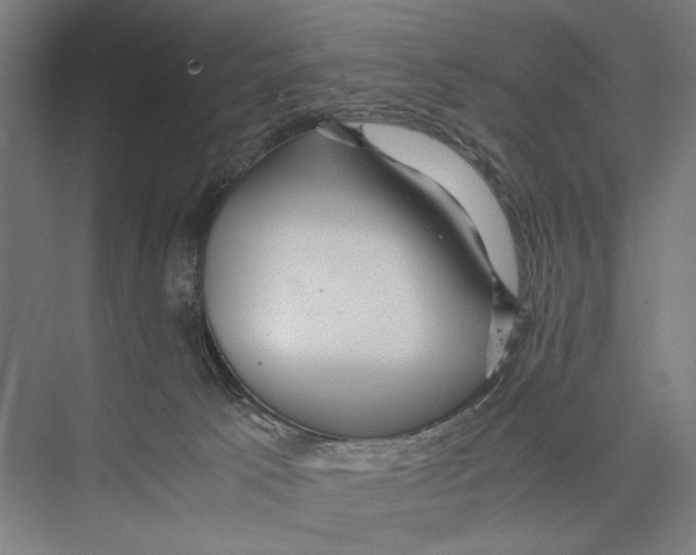 X0000075380033200610061850