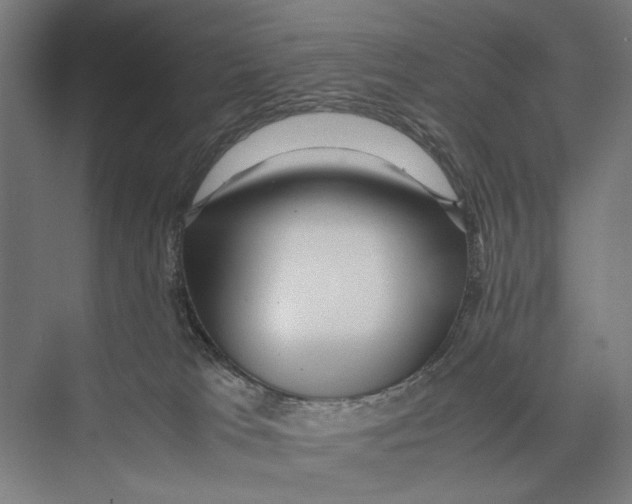 X0000075380037200610061850