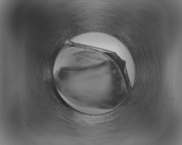 X0000075380039200610061850