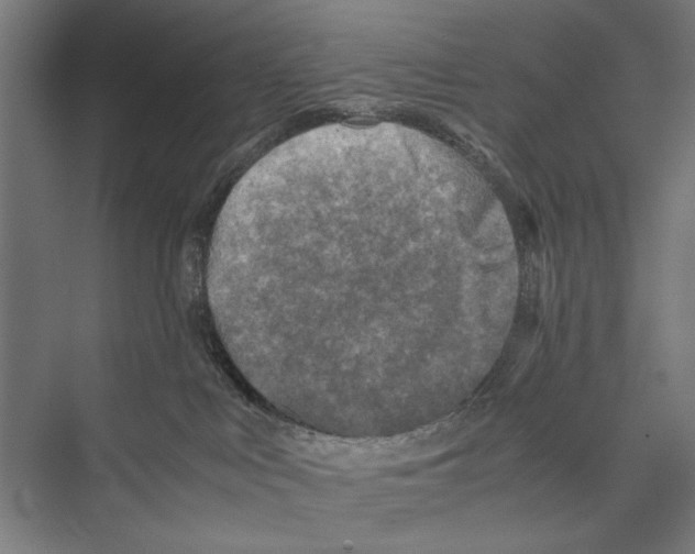 X0000075380043200610061850