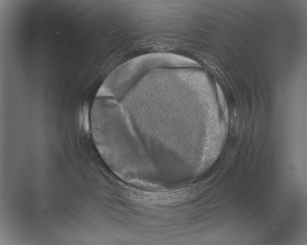 X0000075380046200610061850