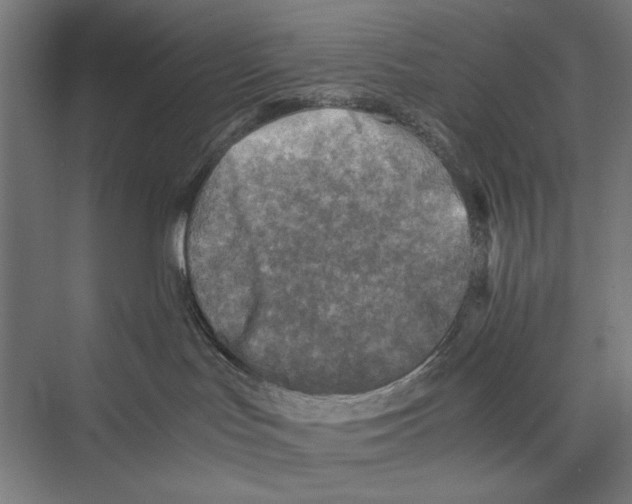 X0000075380047200610061850