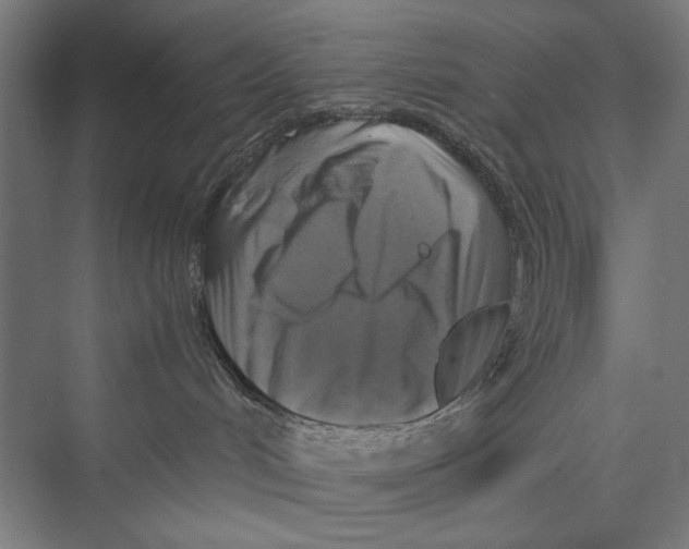 X0000075380048200610061850