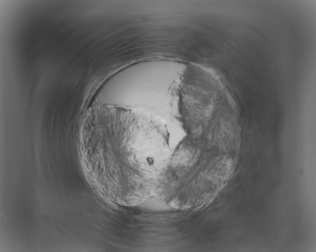 X0000075380049200610061849