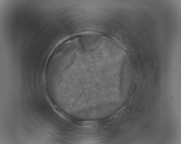 X0000075380050200610061849