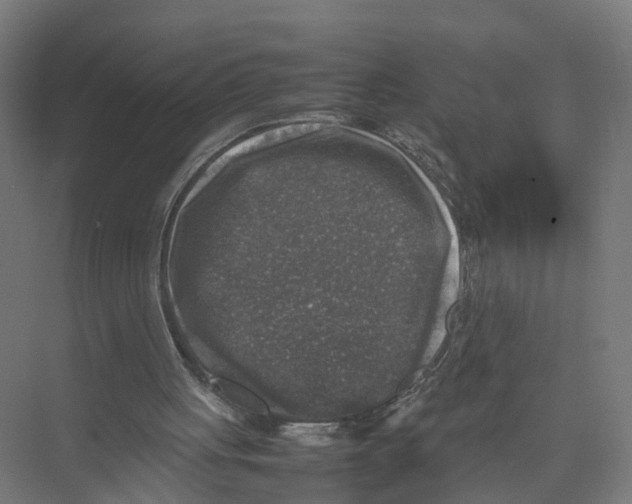 X0000075380051200610061849