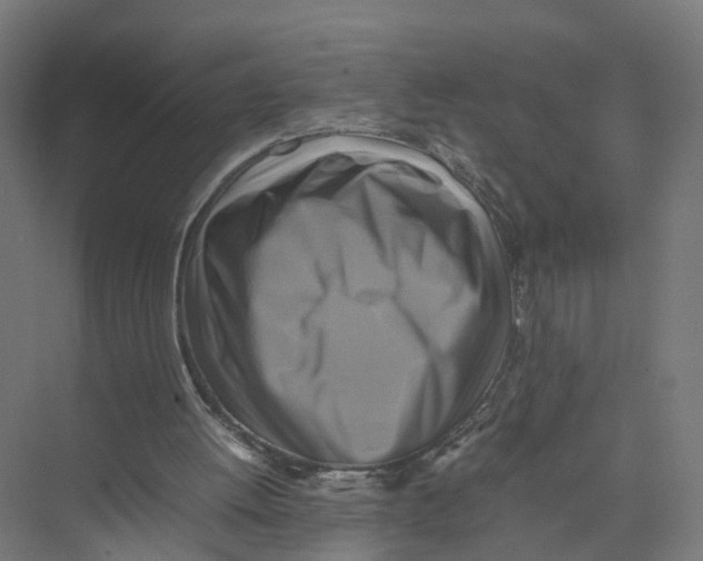 X0000075380052200610061849