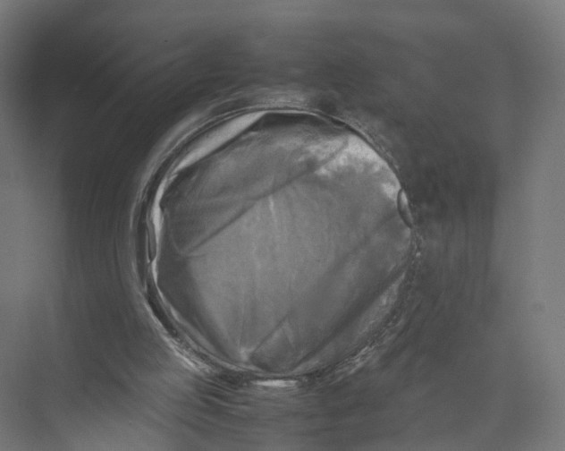 X0000075380053200610061849