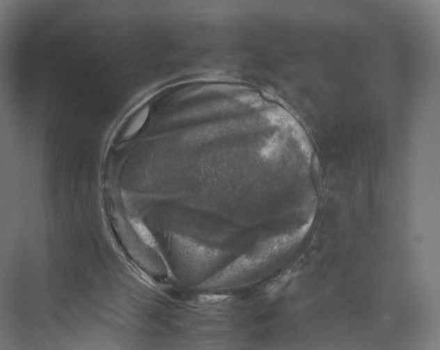 X0000075380055200610061849