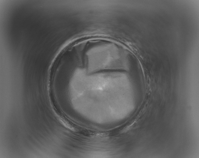 X0000075380056200610061849