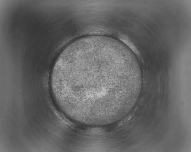 X0000075380058200610061849