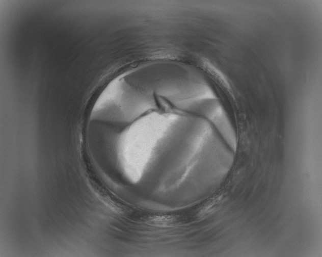 X0000075380059200610061849