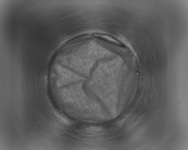 X0000075380063200610061849