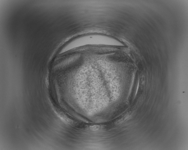 X0000075380064200610061849