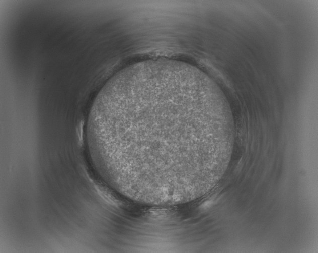 X0000075380070200610061849