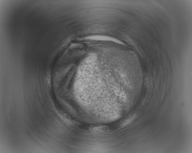 X0000075380072200610061850