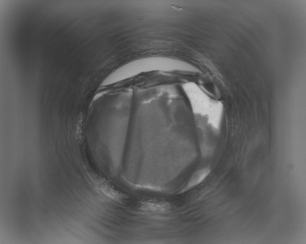 X0000075380073200610061850