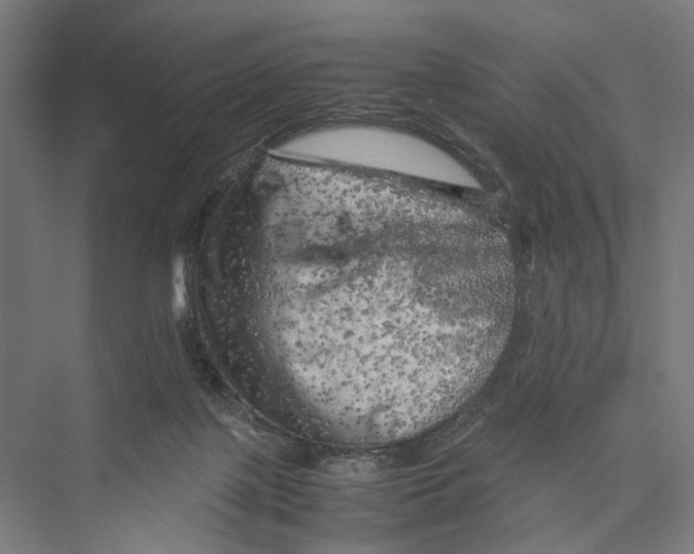 X0000075380075200610061850