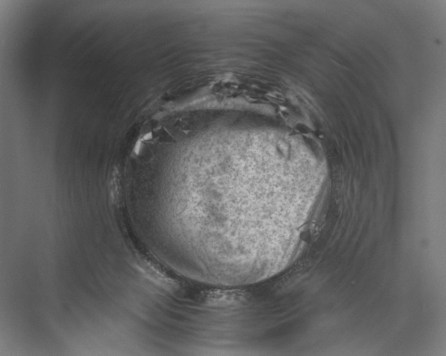 X0000075380077200610061850