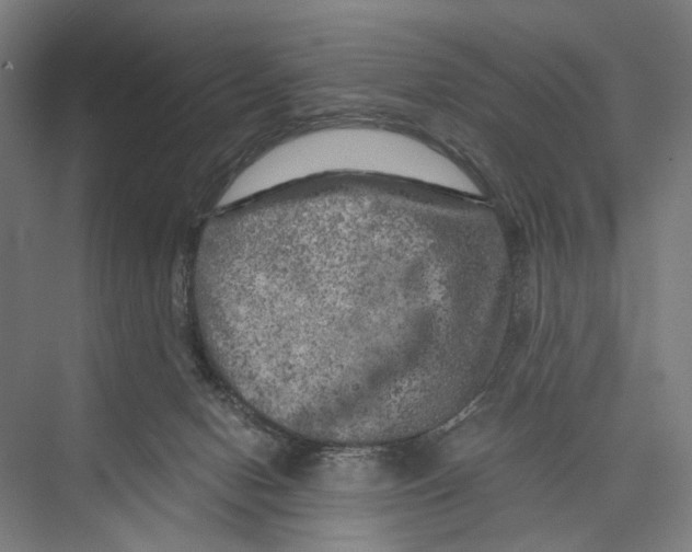 X0000075380078200610061850