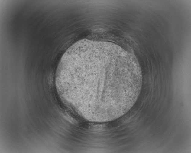 X0000075380081200610061850