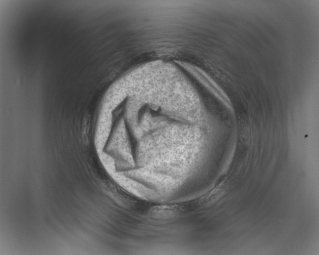 X0000075380082200610061850