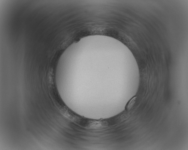 X0000075380083200610061850