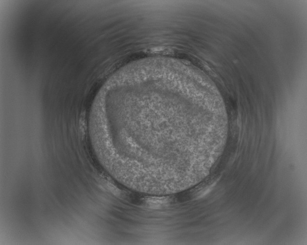 X0000075380085200610061850