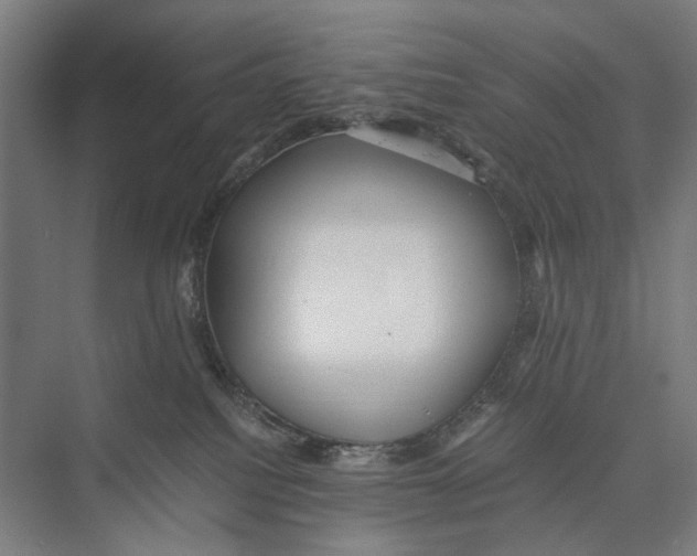 X0000075380088200610061850