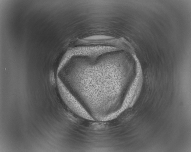 X0000075380089200610061850