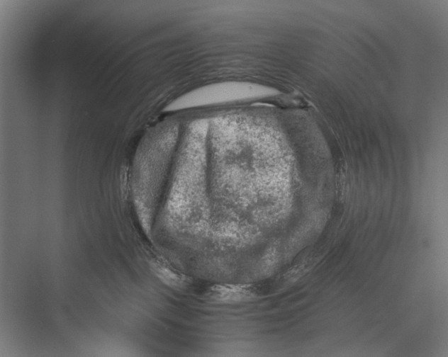 X0000075380093200610061850