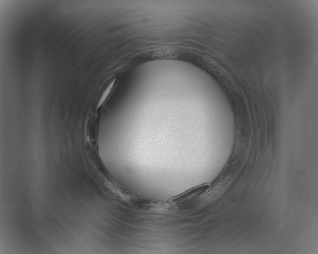 X0000075380096200610061850