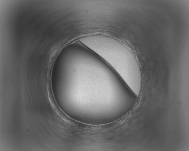 X0000075380097200610061849