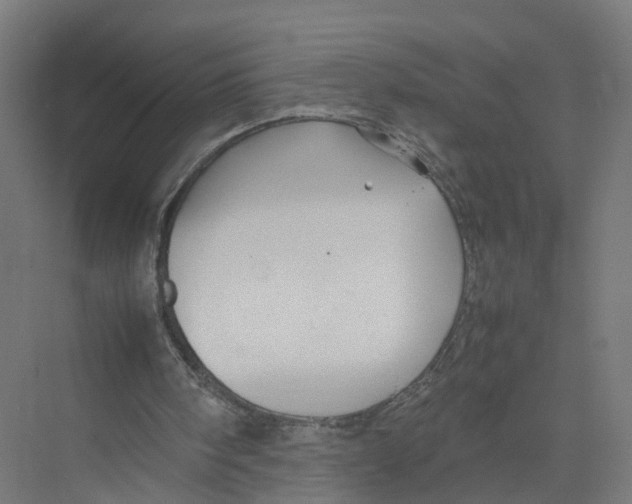 X0000075380098200610061849