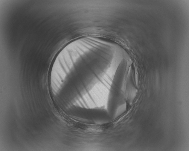 X0000075380099200610061849