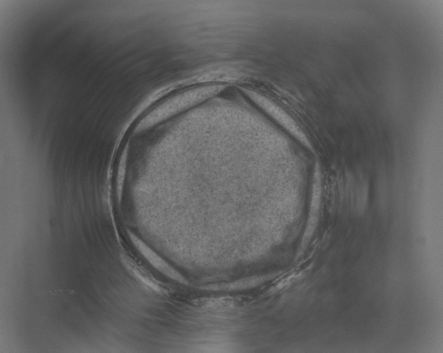 X0000075380100200610061849