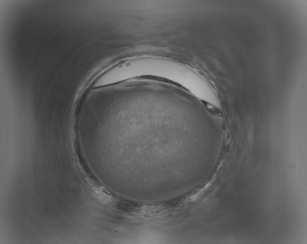 X0000075380101200610061849