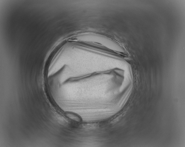 X0000075380102200610061849