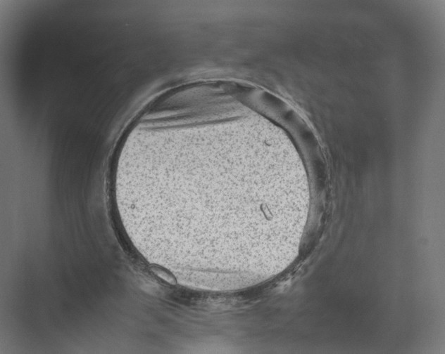 X0000075380103200610061849