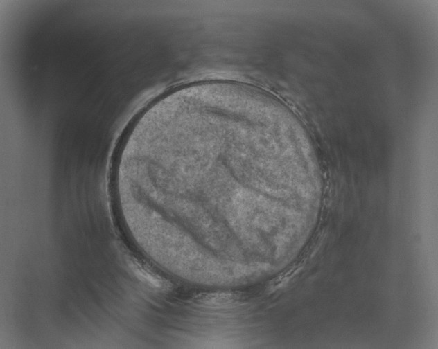 X0000075380104200610061849