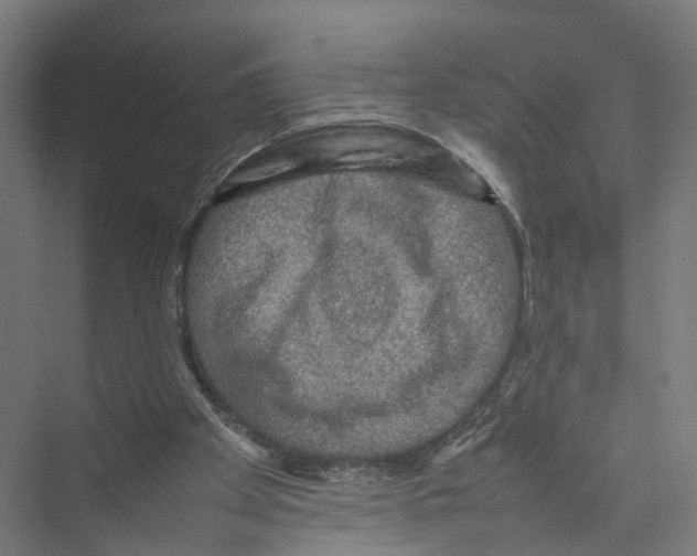 X0000075380105200610061849